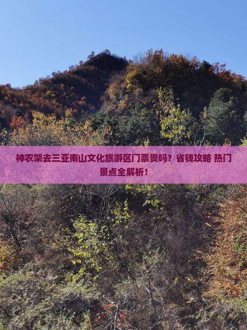 神农架前往三亚南山文化旅游区门票