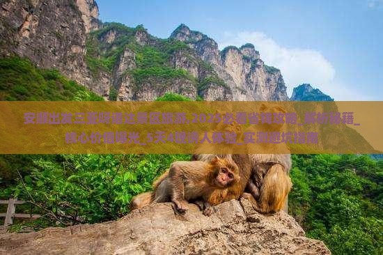 安顺出发三亚呀诺达景区旅游