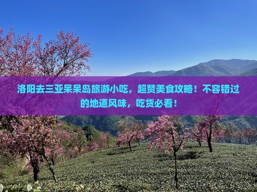 洛阳去三亚呆呆岛旅游小吃