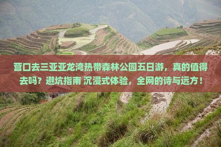 营口去三亚亚龙湾热带森林公园五日游