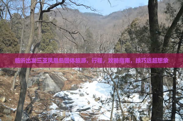 临沂出发三亚凤凰岛团体旅游