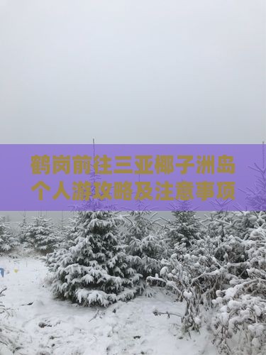 鹤岗前往三亚椰子洲岛个人游