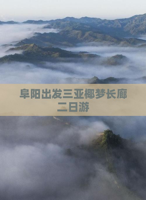 阜阳出发三亚椰梦长廊二日游