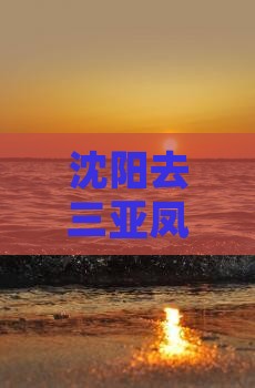沈阳去三亚凤凰岭公园三日游