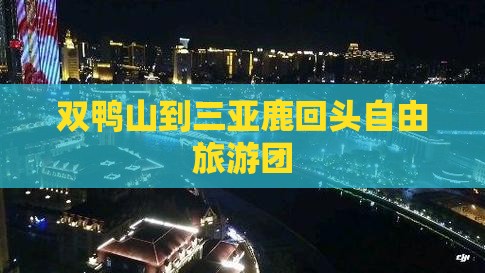 双鸭山去三亚鹿回头自由团