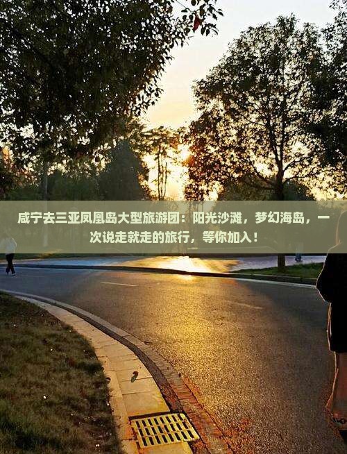 咸宁去三亚凤凰岛大型旅游团