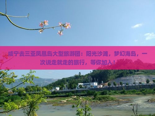 咸宁去三亚凤凰岛大型旅游团
