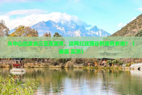 中山出发三亚亚龙湾国际玫瑰谷旅游网红地点