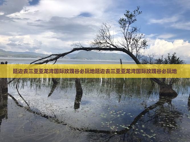 延边去三亚亚龙湾国际玫瑰谷必玩地