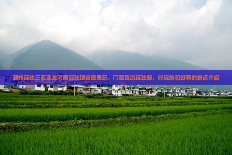 潮州前往三亚亚龙湾国际玫瑰谷哪里玩