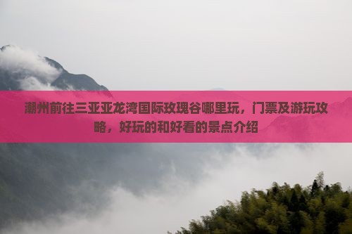 潮州前往三亚亚龙湾国际玫瑰谷哪里玩
