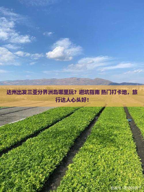 达州出发三亚分界洲岛哪里玩