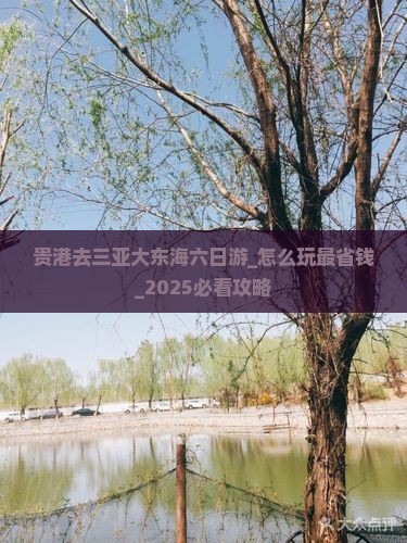 贵港去三亚大东海六日游