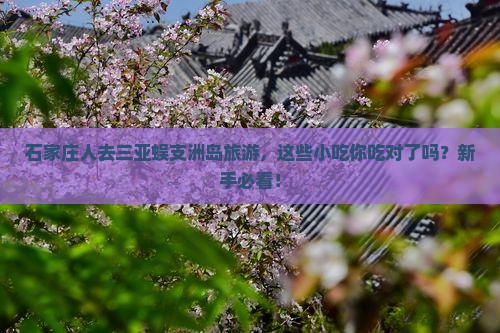 石家庄前往三亚蜈支洲岛旅游小吃
