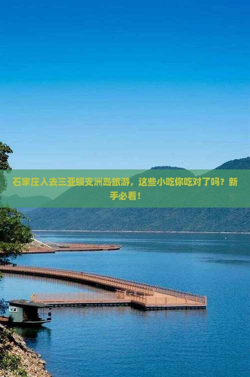 石家庄前往三亚蜈支洲岛旅游小吃