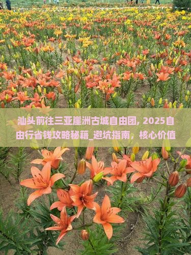 汕头前往三亚崖洲古城自由团