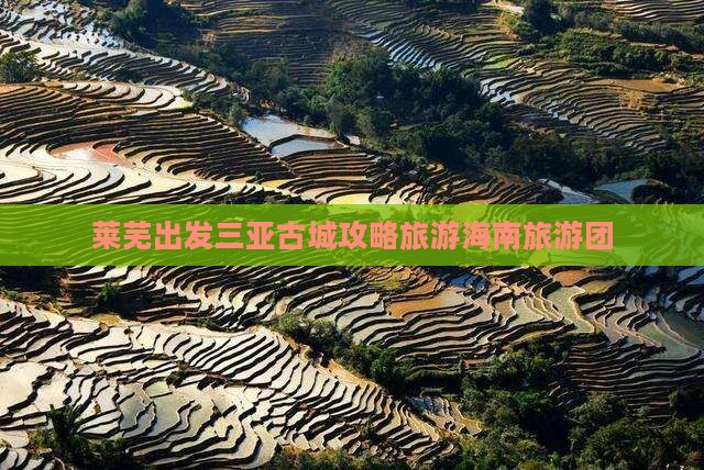 莱芜前往三亚崖洲古城大型旅游团