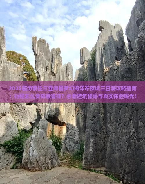 临汾前往三亚海昌梦幻海洋不夜城三日游