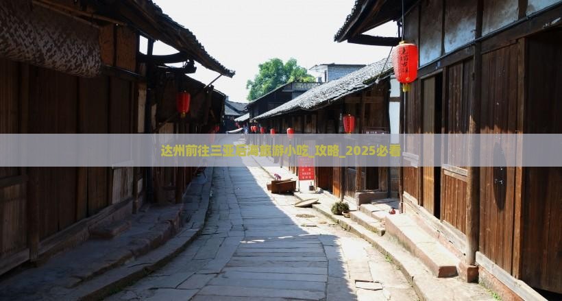 达州前往三亚后海旅游小吃