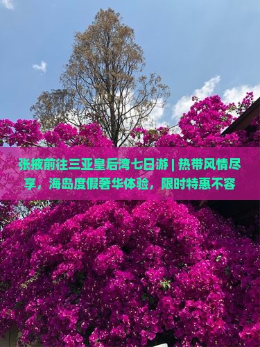 张掖前往三亚皇后湾七日游