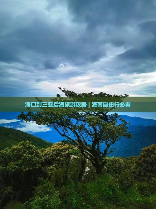 海口去三亚后海旅游