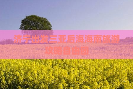 济宁出发三亚后海自由团