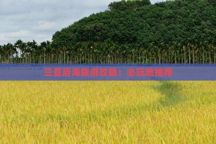 揭阳前往三亚后海必玩地