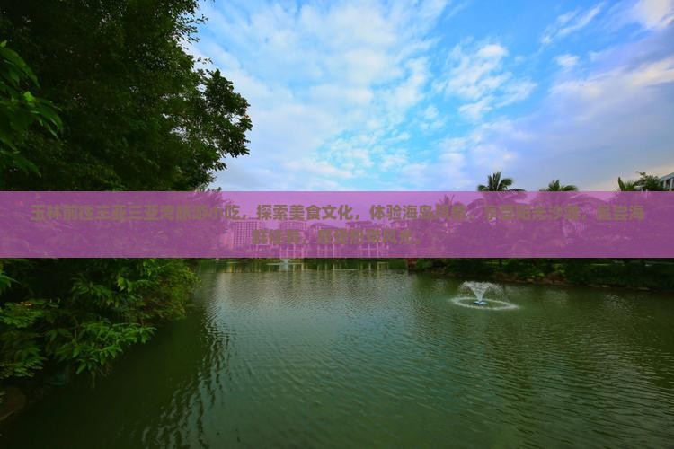 玉林前往三亚三亚湾旅游小吃