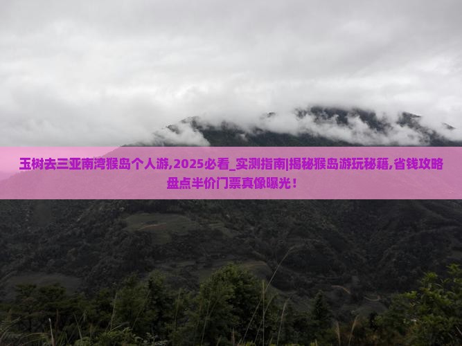 玉树去三亚南湾猴岛个人游
