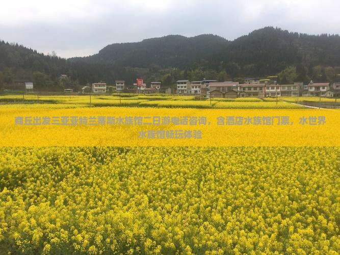 商丘出发三亚亚特兰蒂斯水族馆二日游