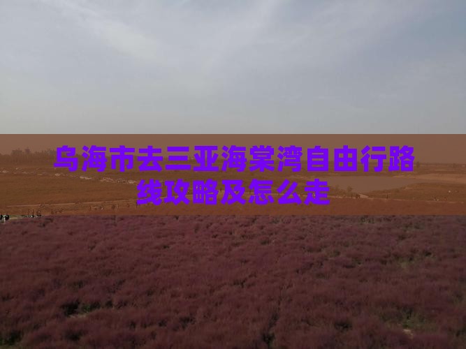 乌海市去三亚海棠湾自由行