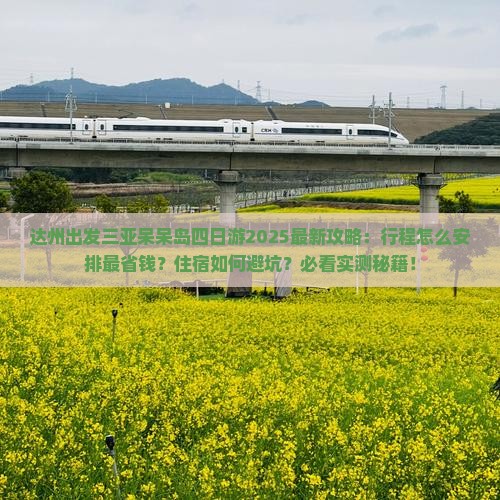 达州出发三亚呆呆岛四日游