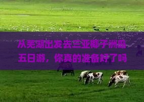 芜湖去三亚椰子洲岛五日游