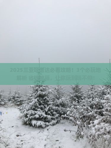 海西去三亚呀诺达景区必玩地