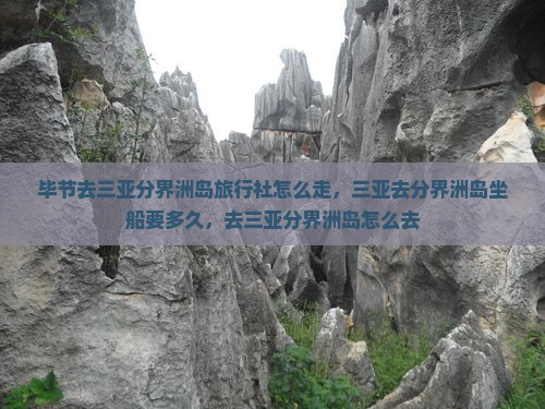 毕节去三亚分界洲岛旅行社