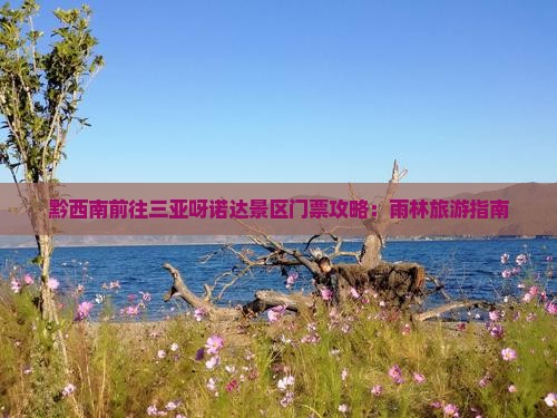 黔西南前往三亚呀诺达景区门票