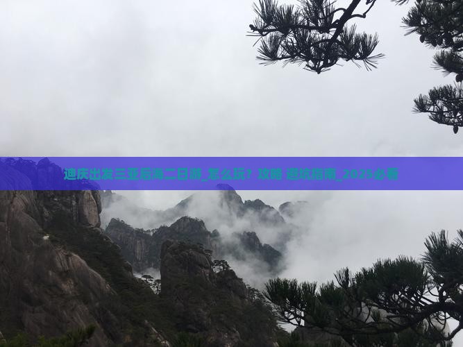 迪庆出发三亚后海二日游