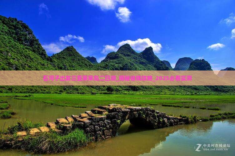 石河子出发三亚呆呆岛二日游