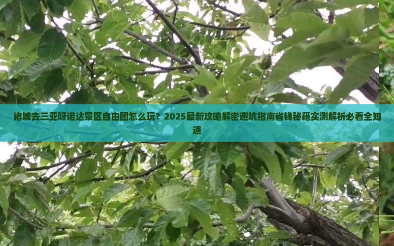 诸城去三亚呀诺达景区自由团