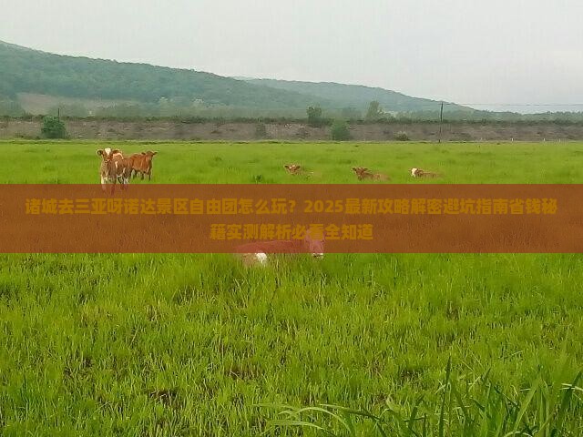 诸城去三亚呀诺达景区自由团