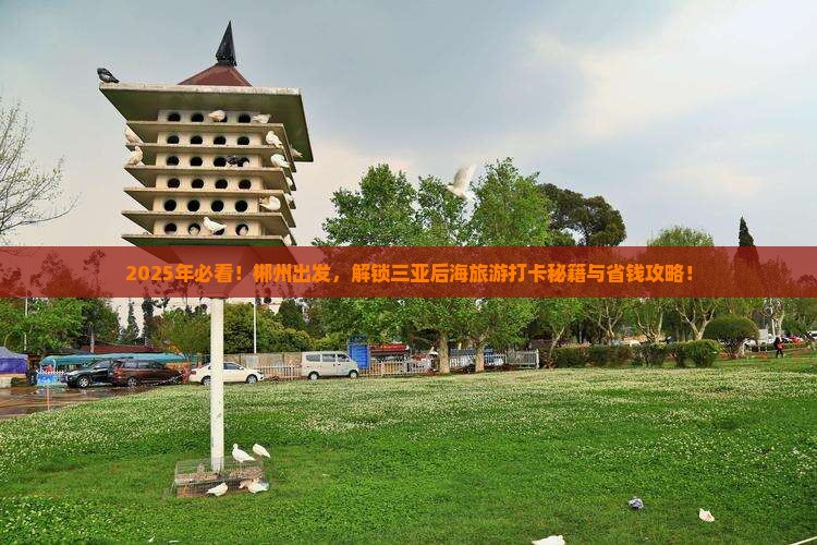 郴州前往三亚后海旅游打卡点