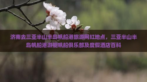 济南去三亚半山半岛帆船港旅游网红地点