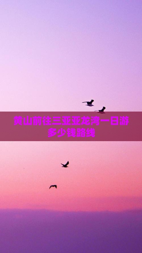 黄山前往三亚亚龙湾一日游