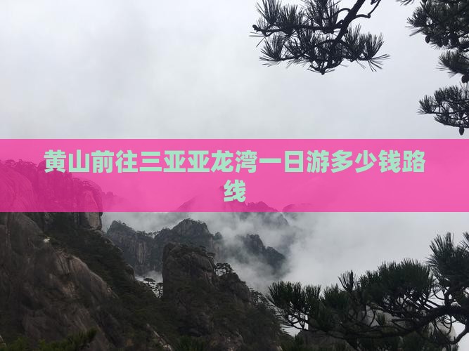 黄山前往三亚亚龙湾一日游