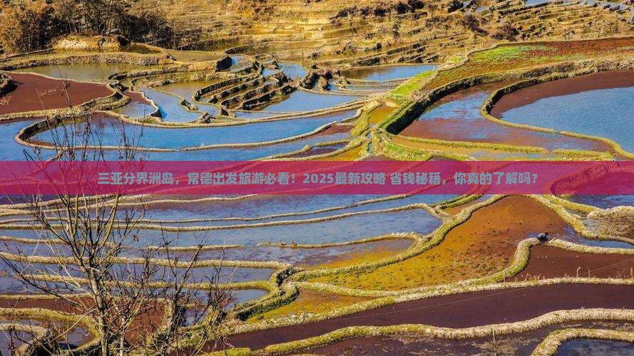常德出发三亚分界洲岛旅游网红地点
