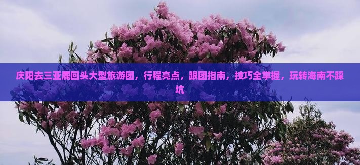 庆阳去三亚鹿回头大型旅游团