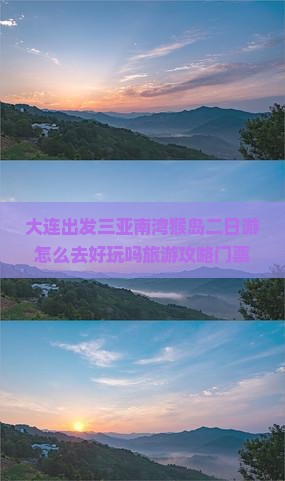大连出发三亚南湾猴岛二日游