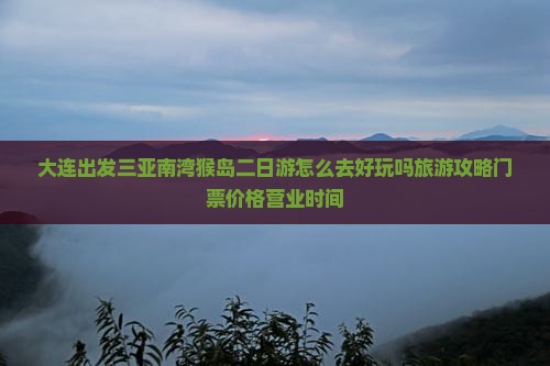 大连出发三亚南湾猴岛二日游