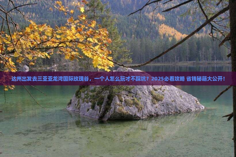 达州去三亚亚龙湾国际玫瑰谷个人游