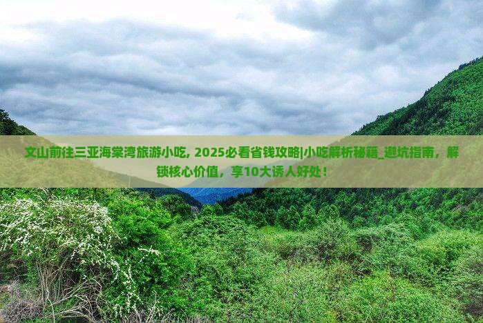 文山前往三亚海棠湾旅游小吃